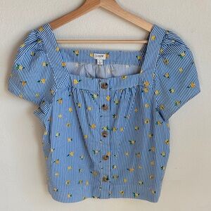 J.Crew Women’s L Lemon Print Blue & White Striped Spring Blouse